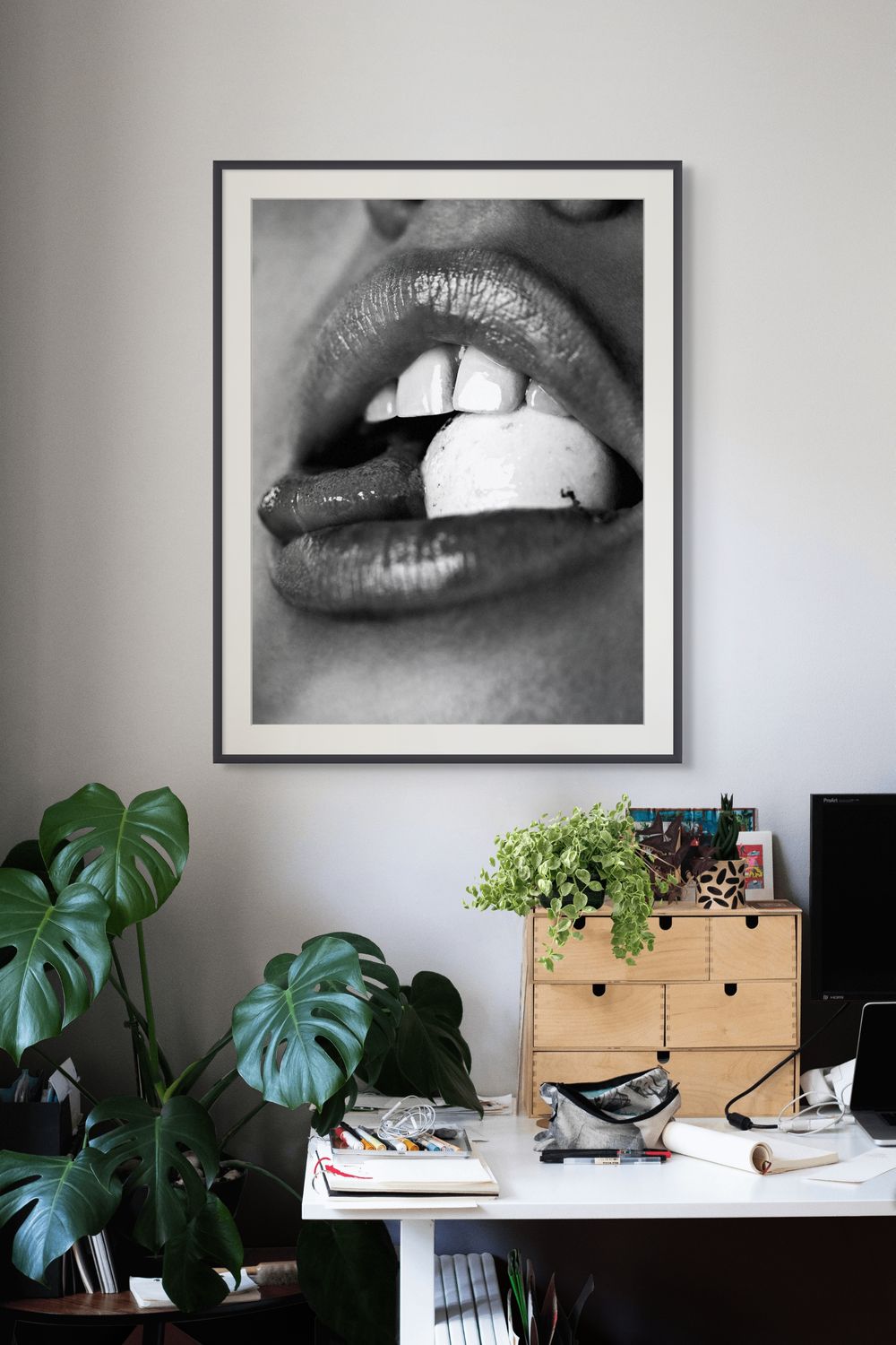 "Cracker" 40 x 30 in. | Photography | Limited Edition Print | Signed