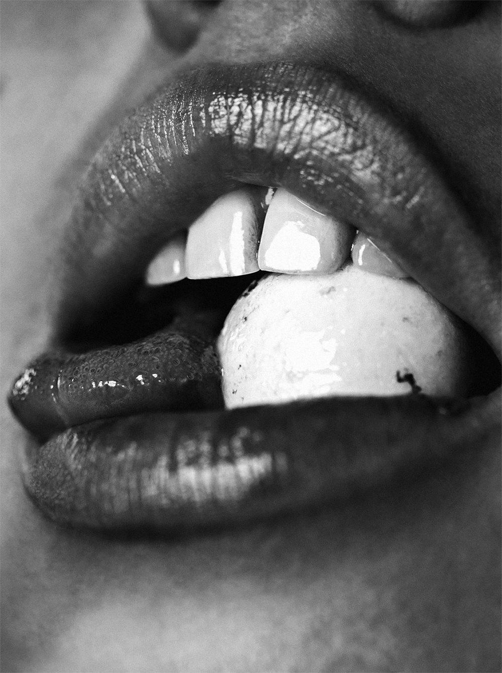 "Cracker"  60 x 40 in. | Photography | Limited Edition Print | Signed